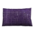 thumbnail image 1 of Ahgly Company Outdoor Rectangular Mid-Century Modern Lumbar Throw Pillow, 13 inch by 19 inch, 1 of 5
