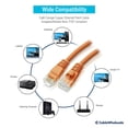 thumbnail image 5 of CableWholesale 10X8-03135 Câble Chat 6, 5 of 5