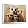 thumbnail image 2 of Designart "Meerkat Gathering in Africa II" Animals Floater Framed Canvas Wall Art, 2 of 7