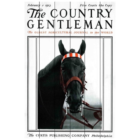 Marmont Hill Mh-Fmkit-28-Ww-36 36" X 24" "Cg Horse" Giclee Art Print On Wood