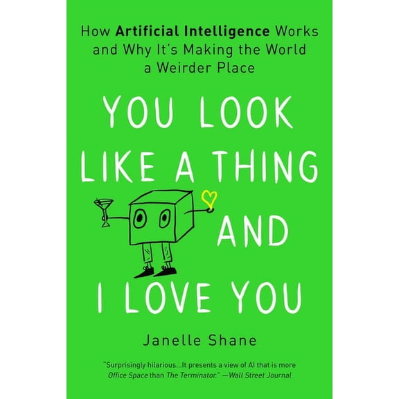 You Look Like a Thing and I Love You: How Artificial Intelligence Works and Why It's Making the World a Weirder Pla, (Paperback)