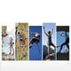 thumbnail image 2 of Arnés de medio cuerpo, arnés de medio cuerpo Arnés de escalada forjado Cinturón Arnés de seguridad Durabilidad probada, 2 of 5