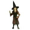 Seasons Girls Black & Red Hologram Witch Costume with Dress & Hat 8-10