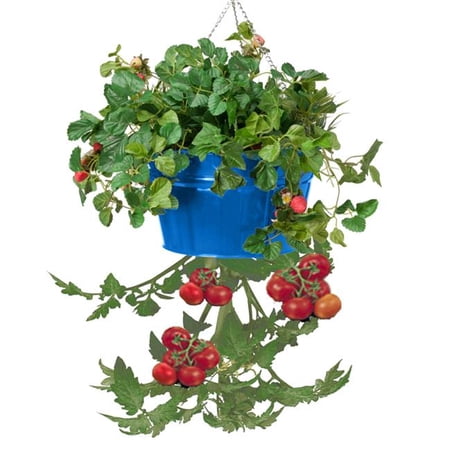 Houston International Trading 8399E B Enameled Galvanized Hanging Strawberry  Floral Planter - Blue