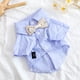 thumbnail image 1 of Xiao Hua Camiseta para perro y gato, camisetas transpirables para mascotas, sudadera para cachorro, ropa para perro, abrigos para perros pequeños, medianos y gatos, XL, A43, 1 of 4
