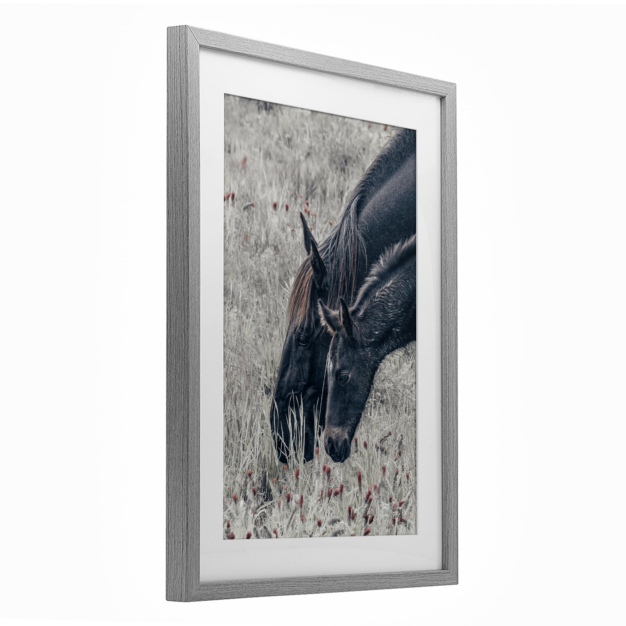 Stupell Industries New Graze Horses in Meadow Gray Framed Print Under Glass, design by Nathan Larson