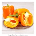 thumbnail image 1 of Pimiento naranja por kilo, 1 of 4