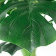 thumbnail image 2 of planta artificial monstera de polietileno 90 x 50 cm con maceta de cemento, 2 of 3