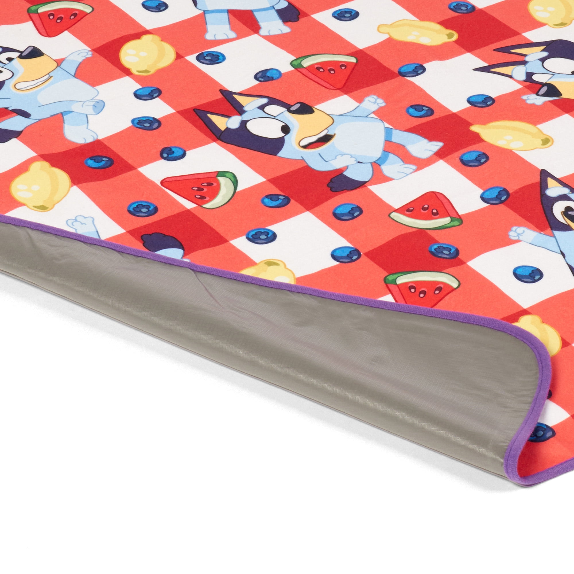Bluey BBQ Kids Outdoor Blanket, 50 x 60 inches