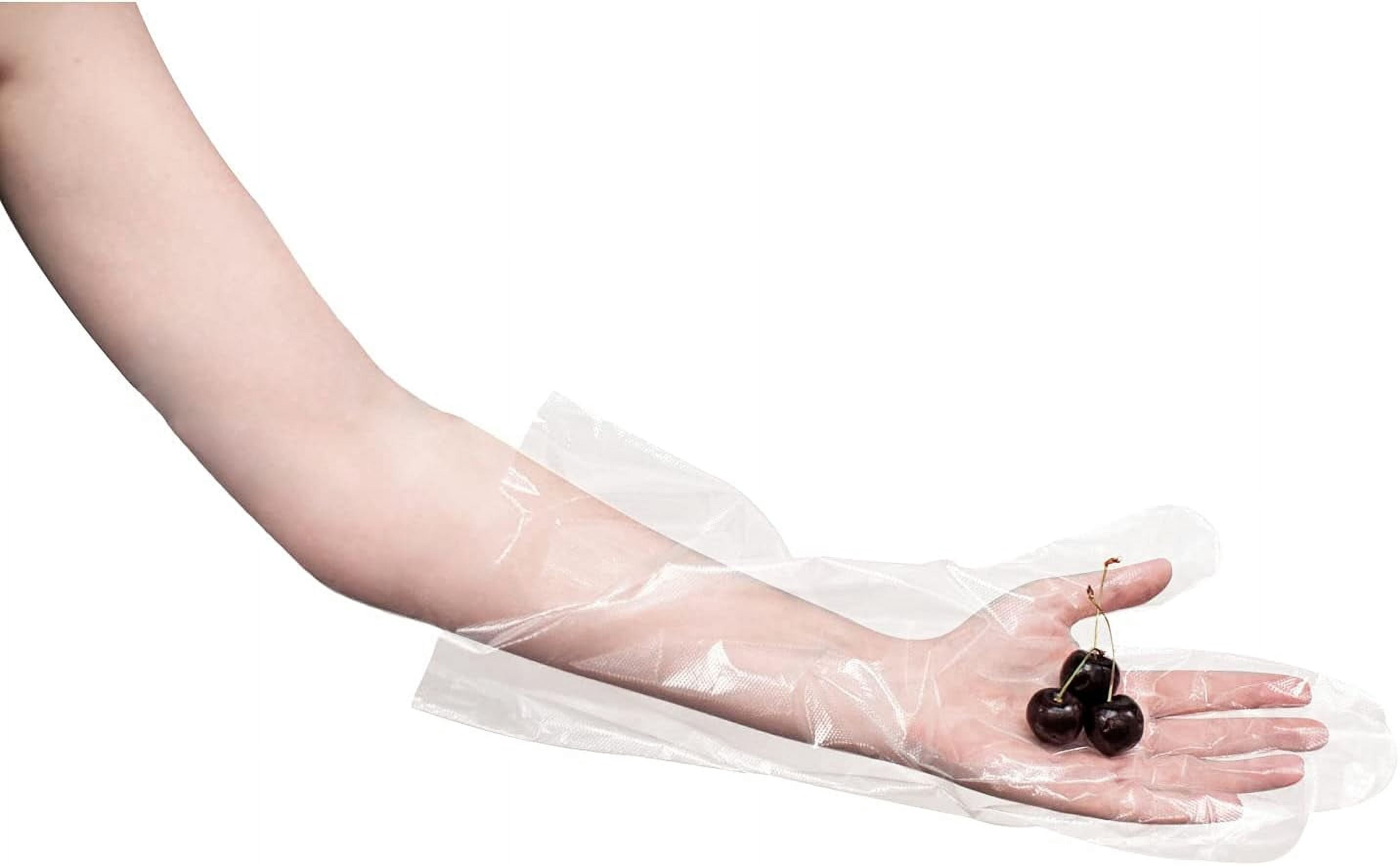 Kleen Chef Disposable 23" inch Elbow Length Poly Gloves for Cleaning & Food Handling - One Size, 100 per box (1 Box)