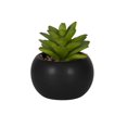 thumbnail image 1 of DesignOvation 4.13" H Tabletop Artificial Succulent in Black Ceramic Pot, 1 of 9