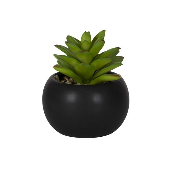 DesignOvation 4.13" H Tabletop Artificial Succulent in Black Ceramic Pot