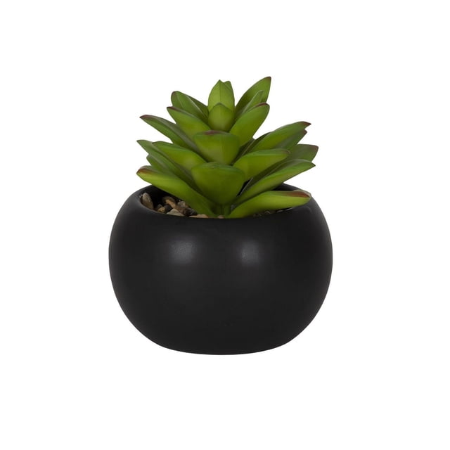 DesignOvation 4.13" H Tabletop Artificial Succulent in Black Ceramic Pot