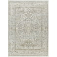 thumbnail image 2 of Hauteloom Kazou Living Room, Bedroom Area Rug - Traditional - Natural Gray - 18" Sample, 2 of 6