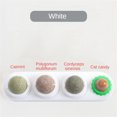 thumbnail image 1 of Catnip Wall Ball Cat Toys Pet Toys for Cats Clean Mouth Promote Digestion Kitten Candy Licking Snacks Mint Ball Cat Accessories ShopWise Round, 1 of 30