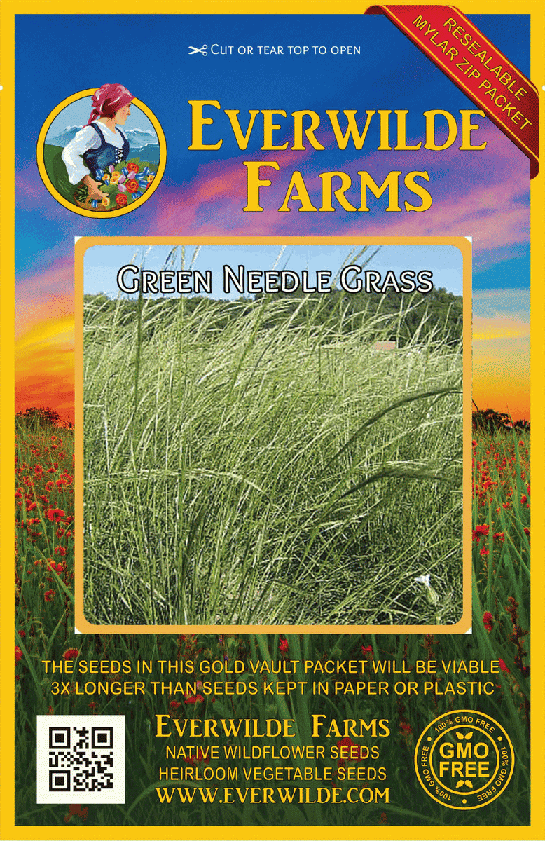 Everwilde Farms - 1 lb Green Needle Grass Native Grass Seeds - Gold Vault Bulk Seed Packet