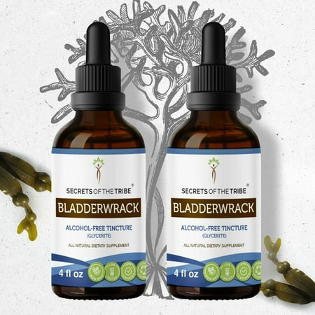 Secrets Of The Tribe Bladderwrack Tincture Dietary Supplement, Natural Herbal Extract for Thyroid Function Support, Bladderwrack (Fucus vesiculosus) Dried Plant, Alcohol-Free Extract, Drops 2x4 oz