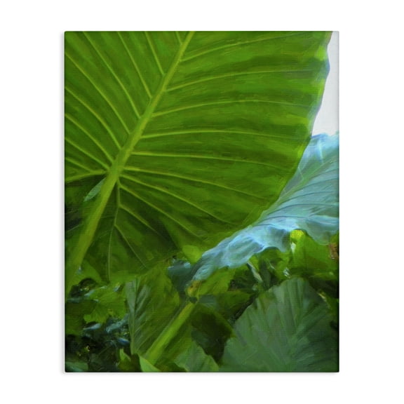 Stupell Industries Contemporary Green Palm Leaf Canvas Art, 24 x 30, by Graffitee Studios