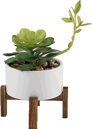 Mainstays 8" Artificial Plant Succulent in White Planter with Wood Stand