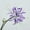 Purple, variant on 3 Pcs Red Spider Lilies Artificial Flowers Lycoris Bulbs with Stem for Home Office Hotel Living Room Decoration,26 inch Long