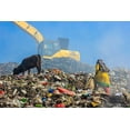 thumbnail image 2 of Amdad Hossain, Muhammad 14x11 Gold Ornate Wood Framed with Double Matting Museum Art Print Titled - The Children Collect Recyclable Materials, 2 of 4