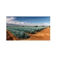 thumbnail image 3 of Pack de 6 Tequila Maestro Tequilero Blanco 700 ml Maestro Dobel, 3 of 3