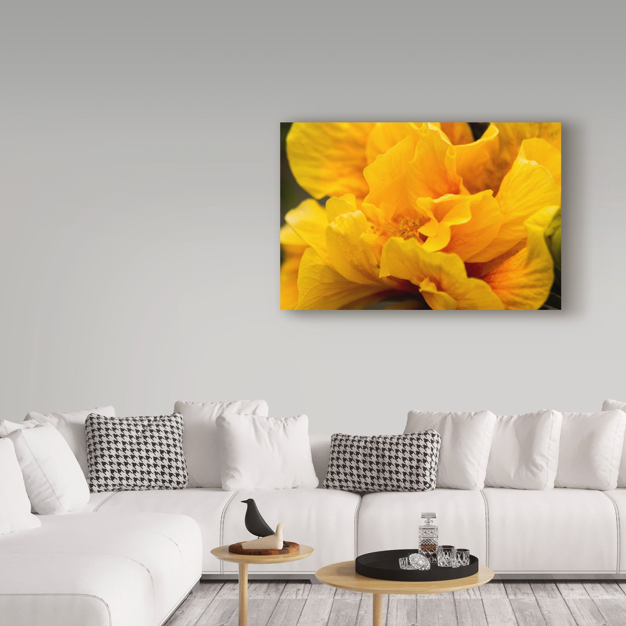 Trademark Fine Art 'Hibiscus Folds' Canvas Art by Chris Moyer