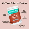 thumbnail image 4 of Further Food Chocolate Marine Collagen Peptides Powder, Wild Caught, Sustainable, Type 1, 2 & 3 Collagen, Gut + Joint Support, Hair, Skin, Nails, Sugar-Free 7.41 oz, 4 of 10