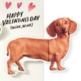 thumbnail image 4 of Hallmark Funny Valentine's Day Card (Love Seeing You Walk My Way), 4 of 7