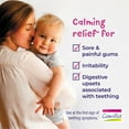 thumbnail image 4 of Boiron Camilia Teething Drops for Daytime and Nighttime Relief of Painful or Swollen Gums and Irritability in Babies, 15 Single Liquid Doses, 4 of 10