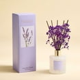thumbnail image 6 of COCORRÍNA Lavender Thyme Reed Diffuser Set, 6.7 fl oz with Dried Flowers, Long Lasting Home Fragrance Air Freshener for Bedroom, Bathroom, Office, 6 of 7