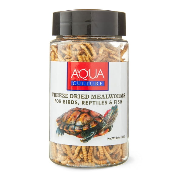 Dried Mealworms