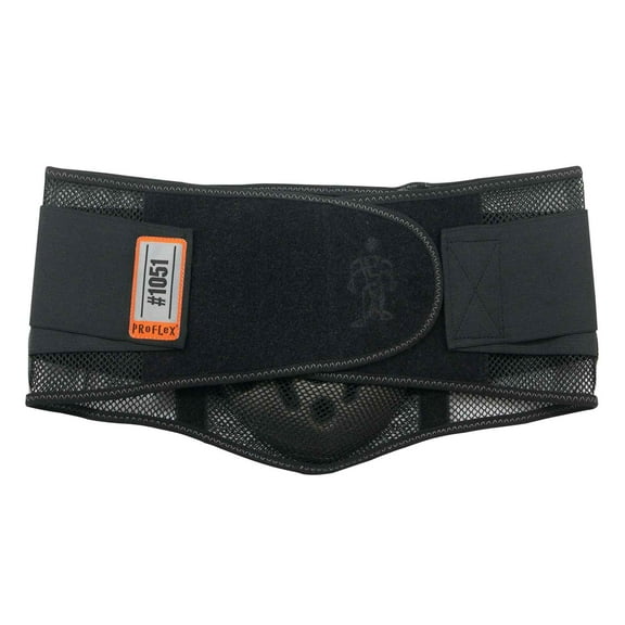 Ergodyne ProFlex 1051 Mesh Back Support, Large