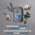 thumbnail image 3 of Dove Men+Care Antiperspirant Clean Comfort 72H Protection, 14 g, 3 of 6