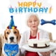 thumbnail image 5 of Mascota perro saliva toalla cumpleaños sombrero perro hueso juguete tirar bandera conjunto MFZFUKR CPB-US-FXT18-1, 5 of 5