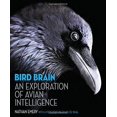 thumbnail image 1 of Cerveau d'Oiseau: une Exploration de l'Intelligence Aviaire, 1 of 1