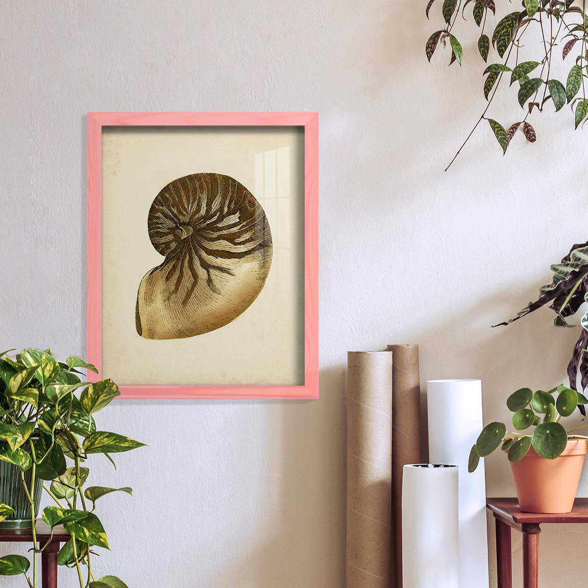 Sealife Collection V - Framed Print w/glass - Sunset Pink
