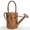 Copper, variant on 1-Gallon Steel Watering Can with Removable Sprinkler Head Ideal for Indoors & Outdoors, Bronze