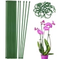 thumbnail image 2 of Paquete de 20 estacas para plantas con 20 clips para plantas, 18 pulgadas, estaca de soporte para plantas reutilizable, varillas de soporte para plantas de plástico de un solo tallo para plantas en ma, 2 of 11