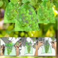 thumbnail image 3 of 100pcs Bunch Protection Bag 30x20cm/10x15cm Grape Fruit Organza Bag With Drawstring Gives Total Protection, 3 of 3