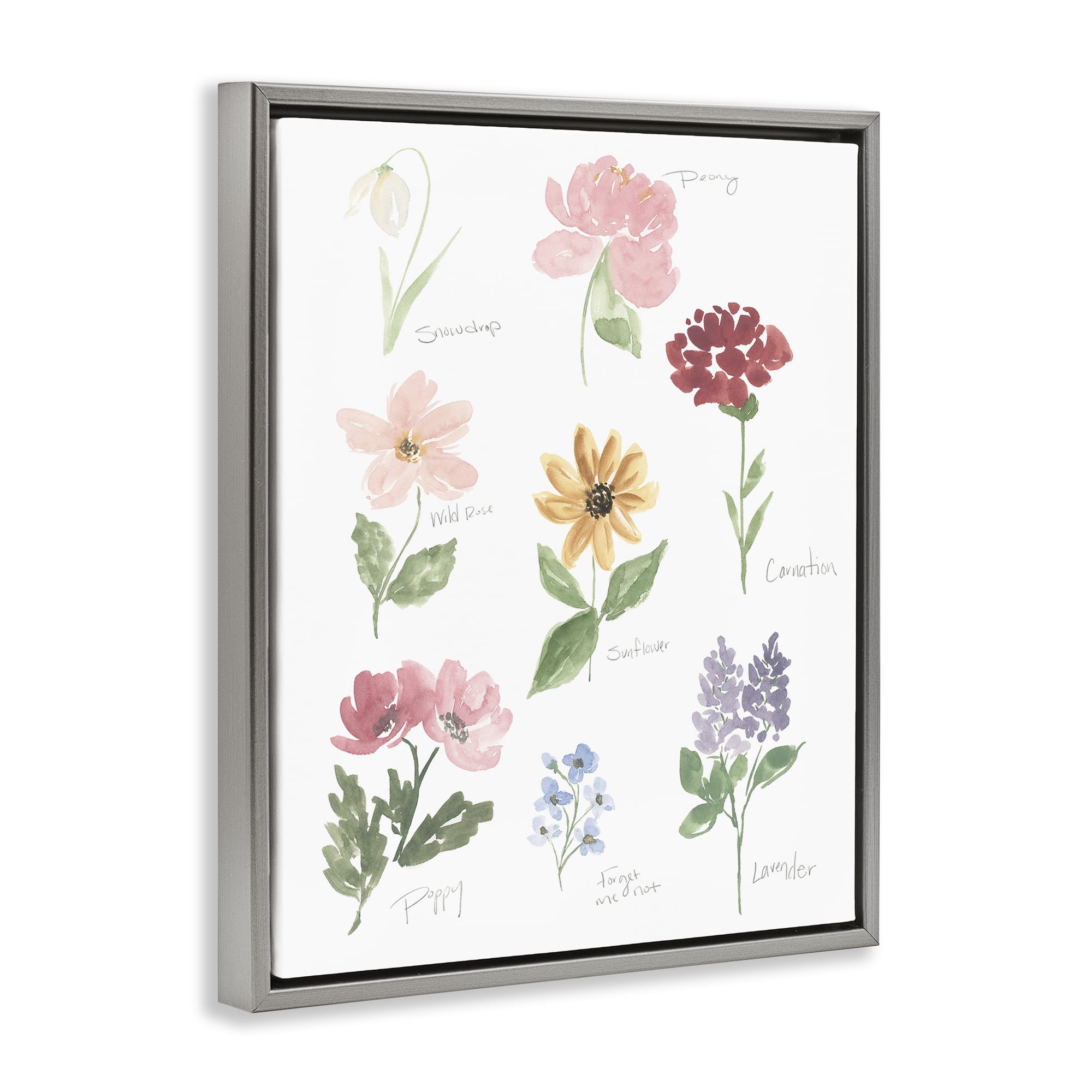 Stupell Industries Labeled Flower Varieties Gray Framed Floater Canvas Wall Art, design by Lucille Price