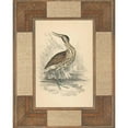 thumbnail image 3 of Reynolds, Alastair 15x18 Black Modern Framed Museum Art Print Titled - Marshland Bittern, 3 of 5