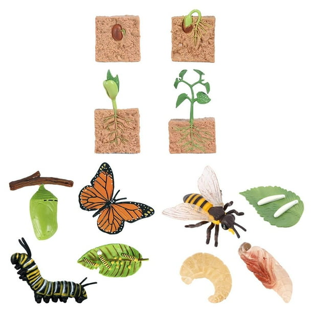 Juego de crecimiento de insectos para niños,Aula de material didáctico sobre el ciclo de crecimiento animal,Juguetes de mariposa animal de imaginación cognitiva para niños,Naturaleza