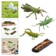 thumbnail image 3 of Naturaleza Saltamontes / Caracol Insectos Crecimiento Ciclo de vida Fifurine Modelo Enseñanza Estilo 1, 3 of 9