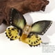 thumbnail image 1 of Xihbxyly Pinza para El Cabello de Acrílico, Elegante Diseño de Canasta de Flores, Motivo de Mariposa para Un Estilo Sofisticado, Agarre Duradero para Todo Tipo de Cabello, para Uso Recogido o Informa, 1 of 4