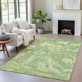 thumbnail image 6 of Dalyn Rugs Machine Washable Indoor/Outdoor Chantille ACN2017 Green 2'6" x 3'10" Rug, 6 of 9