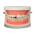 thumbnail image 2 of Unique Bargains 1 Set Fake Teeth Grills Fashion Hip Hop Style for Hip Hop Gift Rose Gold Tone, 2 of 6