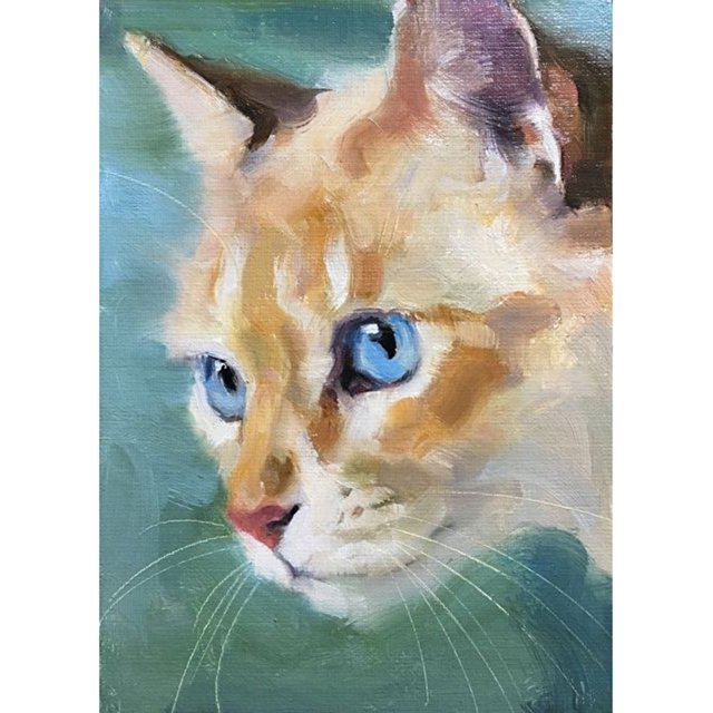 Cuadros Decorativos Gato de pintura al óleo por números para colorear imagen Digital JShteea Nuevos Originales