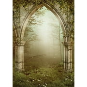 ABPHOTO 5x7ft Photography Backdrop Gothic Ruins Stone Gate Fairytale Forest Fog Enchanted Gardens Backdrops for Photo Shoots Lovers Party Game Adult Kids Baby