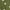 Olive Green, variant on Herrnalise Women’s Dresses Summer 2024 Fashion Casual V-Neck Button Pocket Dot Print Long Sleeve Long Dress S-2XL
